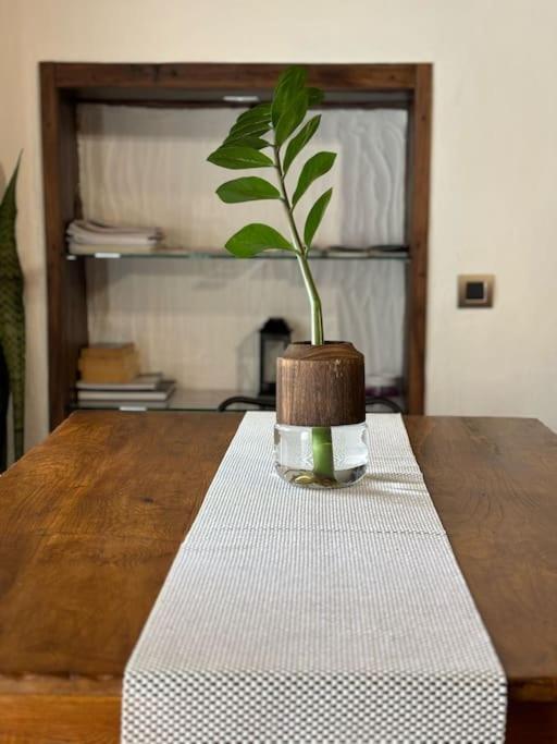 Willa La Casa Vieja Santa Cruz de Tenerife Zewnętrze zdjęcie