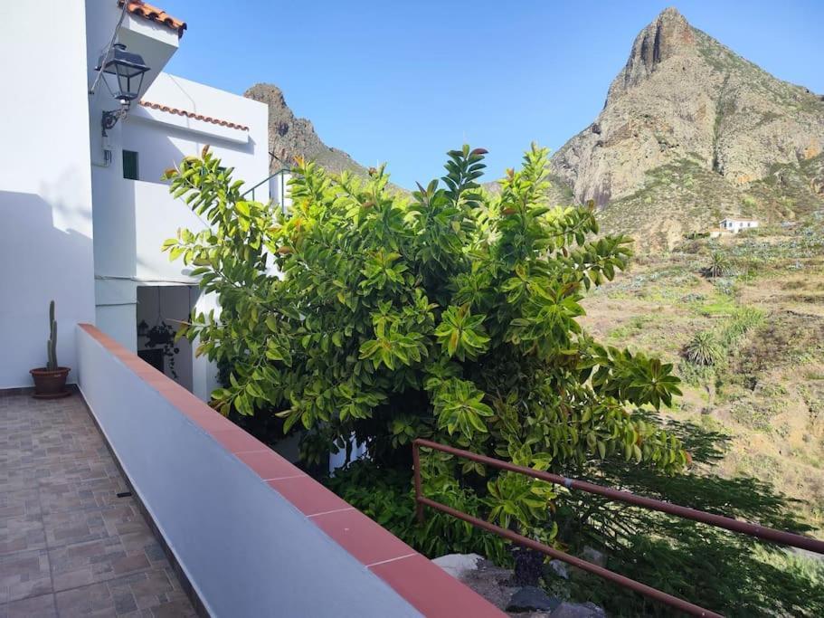Willa La Casa Vieja Santa Cruz de Tenerife Zewnętrze zdjęcie